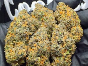 gelato weed for sale