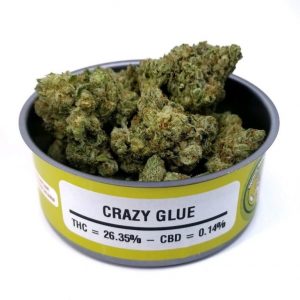 Crazy Glue Space Monkey Can