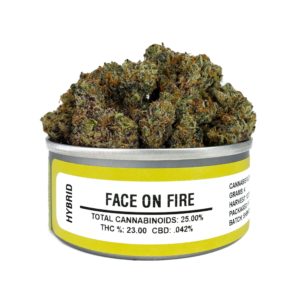 Face on Fire Space Monkey Can